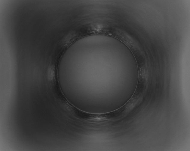X0000103160754200808291450