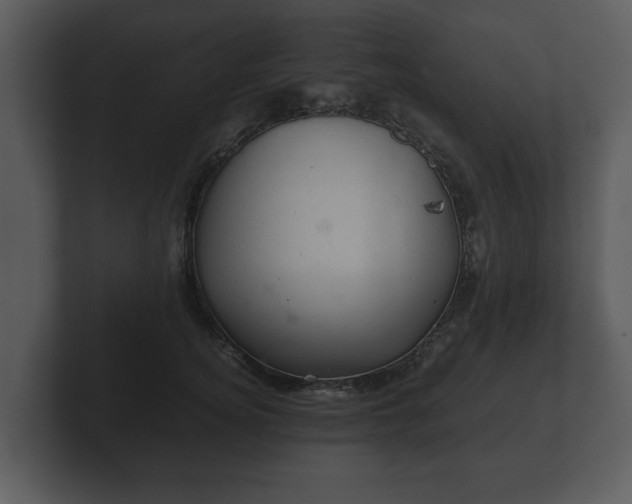 X0000103160756200808291450