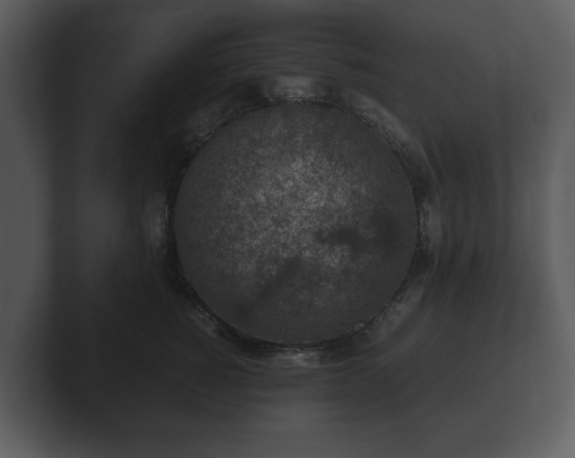 X0000103160760200808291450
