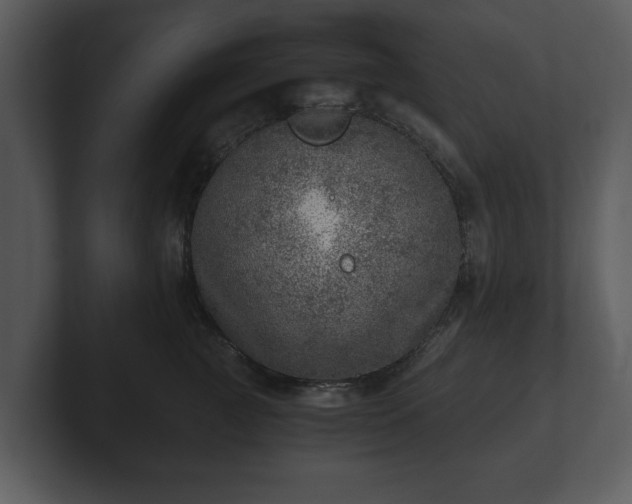 X0000103160761200808291450