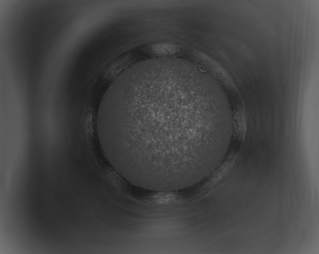X0000103160762200808291450