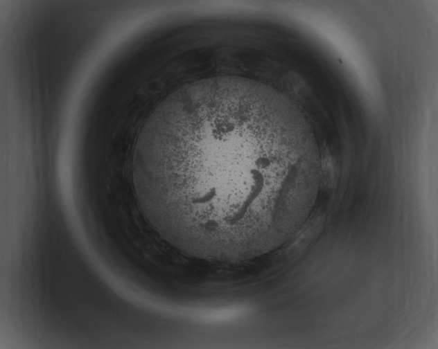X0000103160765200808291450