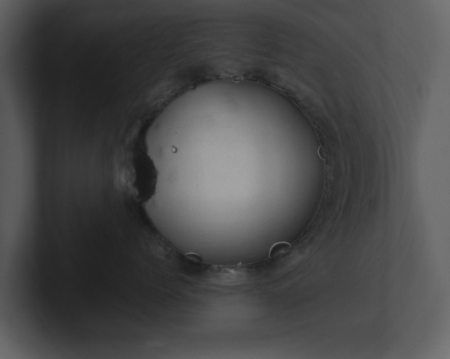 X0000103160768200808291450