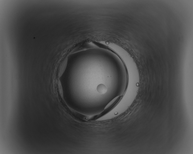 X0000103160769200808291449