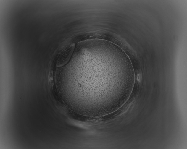 X0000103160771200808291449