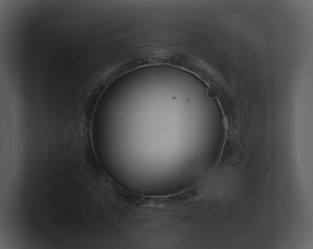 X0000103160773200808291449