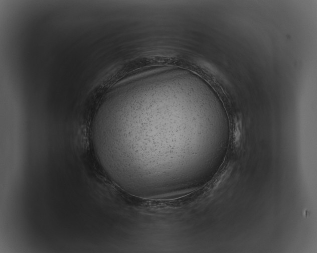 X0000103160774200808291449