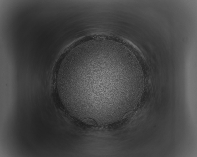 X0000103160775200808291449