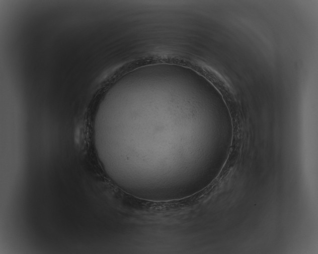 X0000103160776200808291449