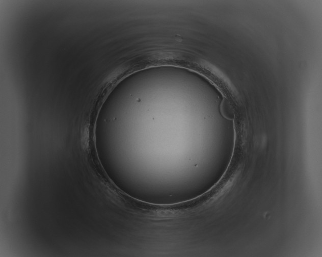 X0000103160777200808291449