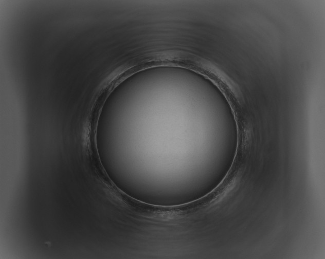 X0000103160778200808291449