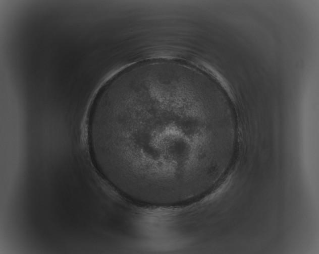 X0000103160779200808291449