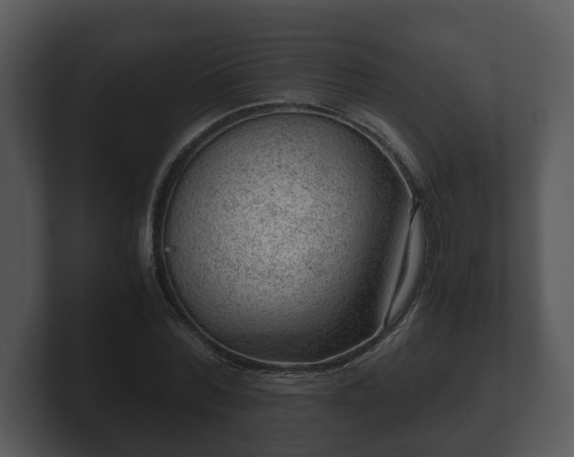 X0000103160780200808291449