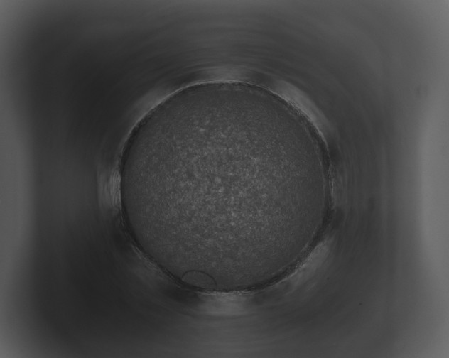 X0000103160781200808291449