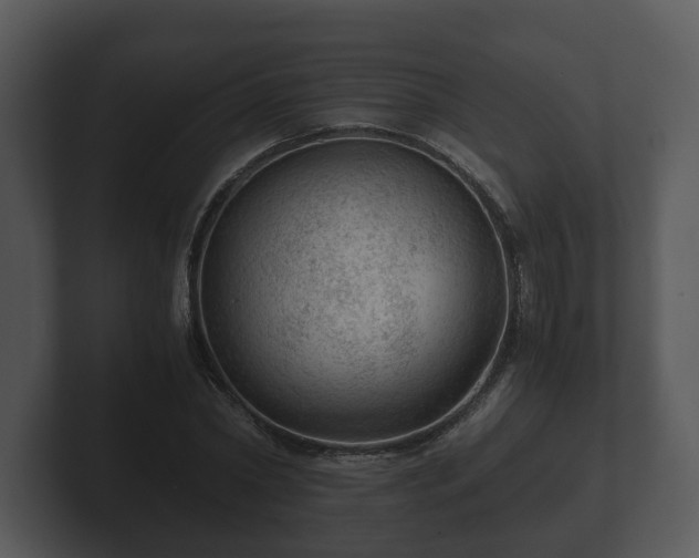 X0000103160782200808291449
