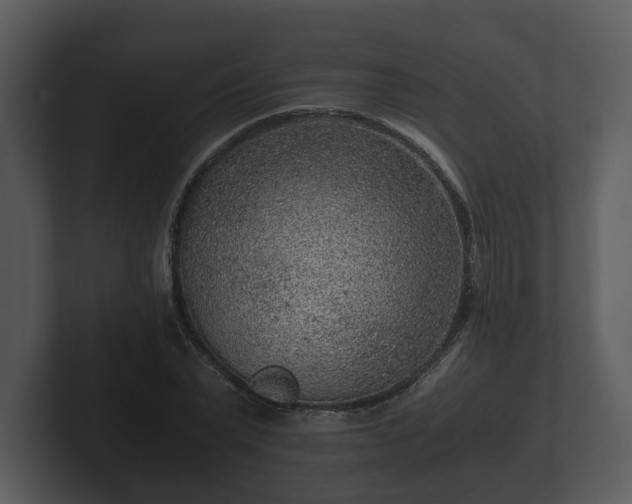 X0000103160783200808291449