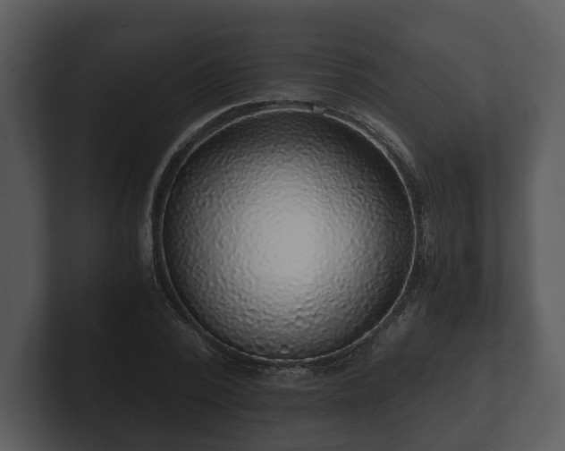 X0000103160784200808291449