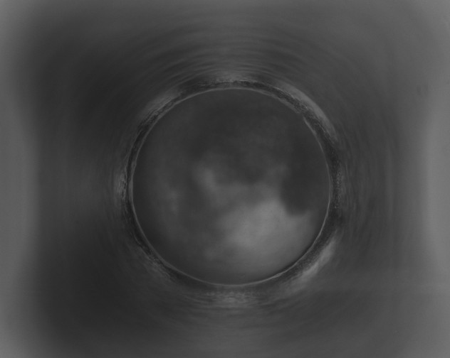 X0000103160785200808291449