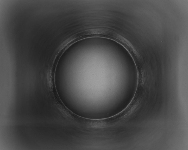 X0000103160786200808291449