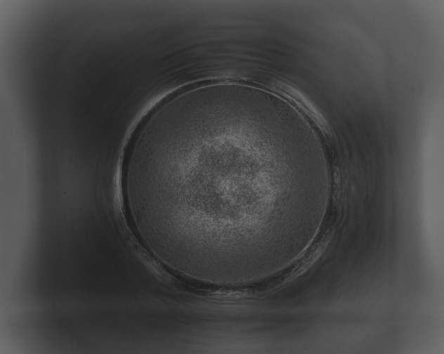 X0000103160788200808291449