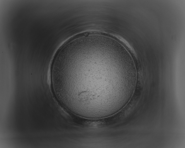 X0000103160791200808291449