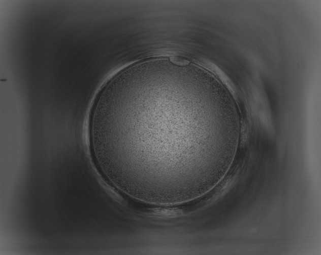 X0000103160795200808291449