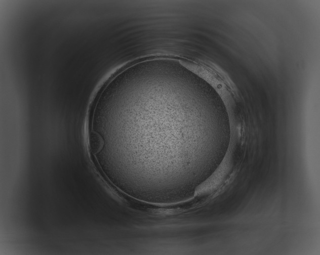 X0000103160796200808291449