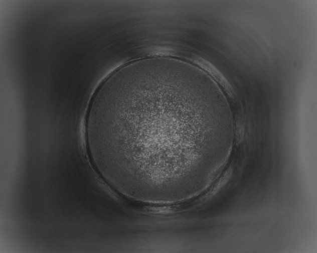 X0000103160798200808291449