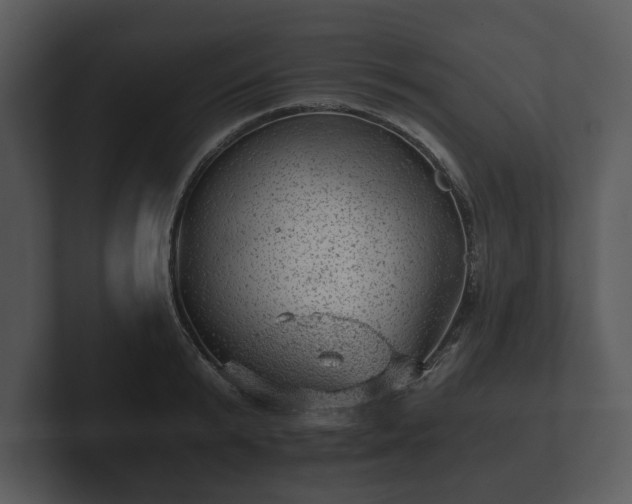 X0000103160799200808291449