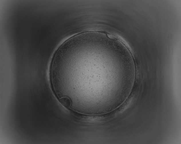 X0000103160803200808291449