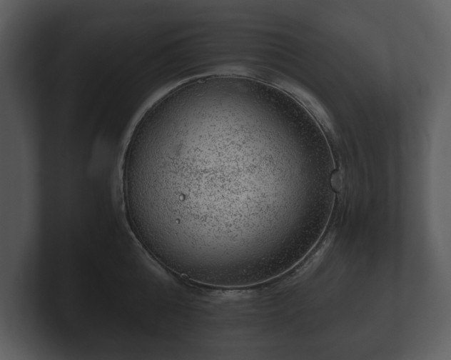 X0000103160808200808291449