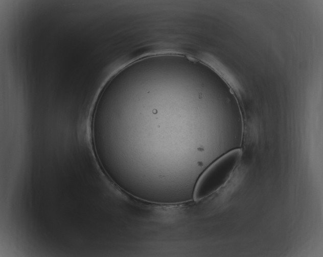 X0000103160813200808291449