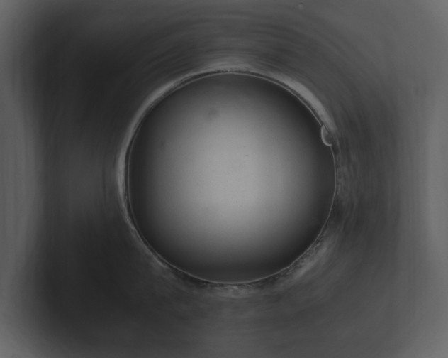 X0000103160815200808291449
