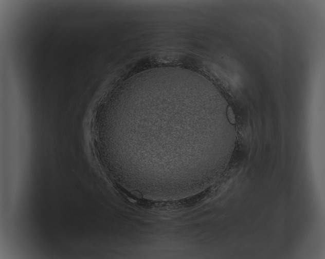 X0000103160817200808291448
