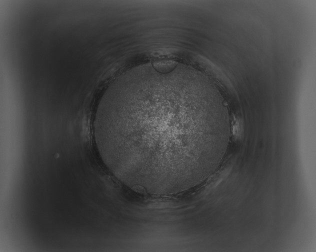 X0000103160819200808291448