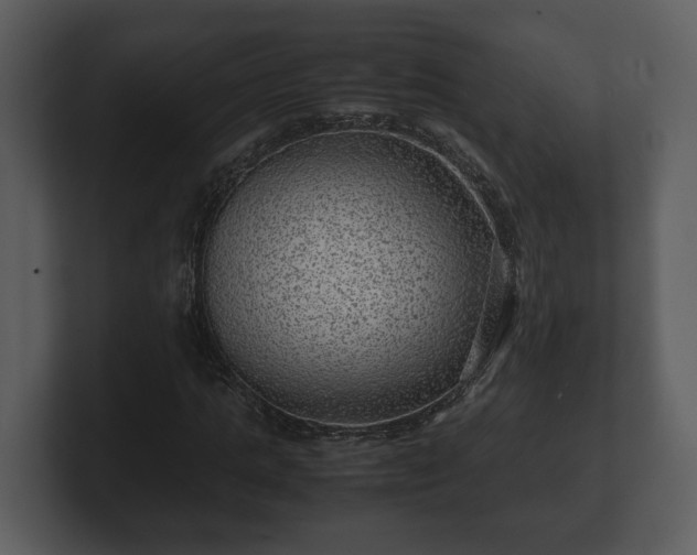 X0000103160821200808291448