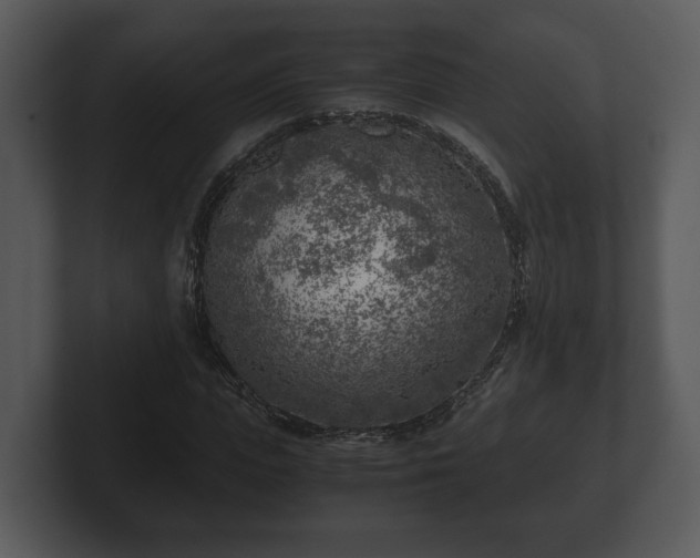 X0000103160823200808291448