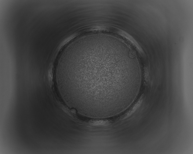 X0000103160826200808291448