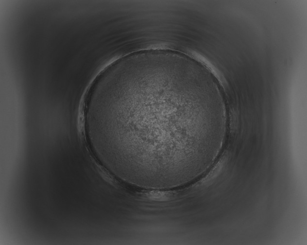 X0000103160827200808291448