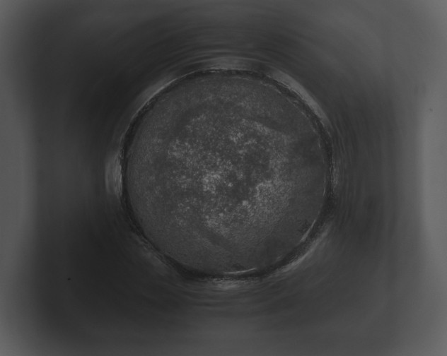 X0000103160829200808291448