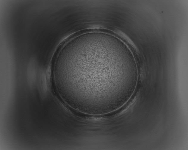 X0000103160831200808291448