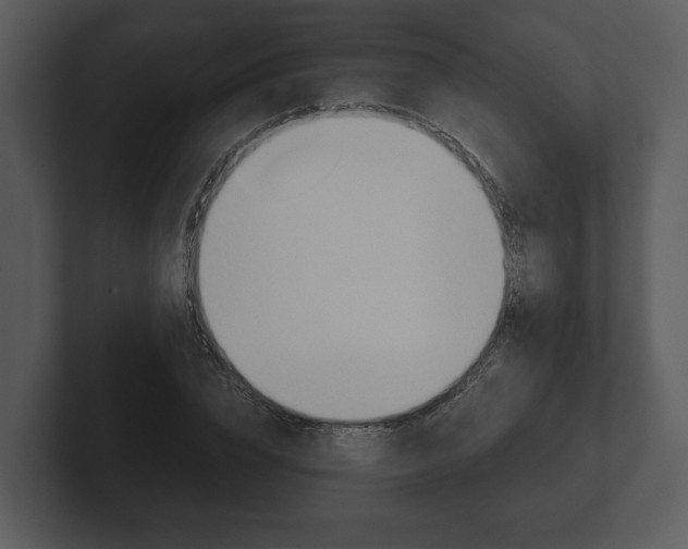 X0000103160832200808291448
