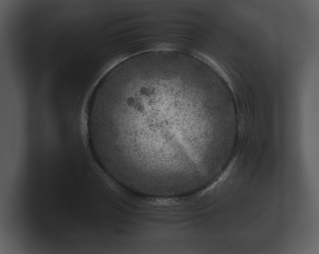 X0000103160835200808291448