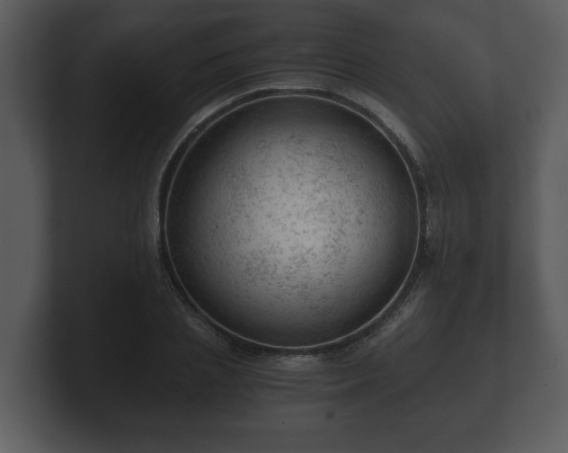 X0000103160837200808291448