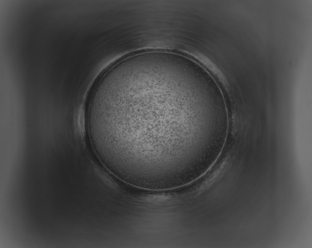 X0000103160838200808291448