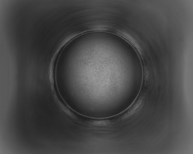 X0000103160843200808291449