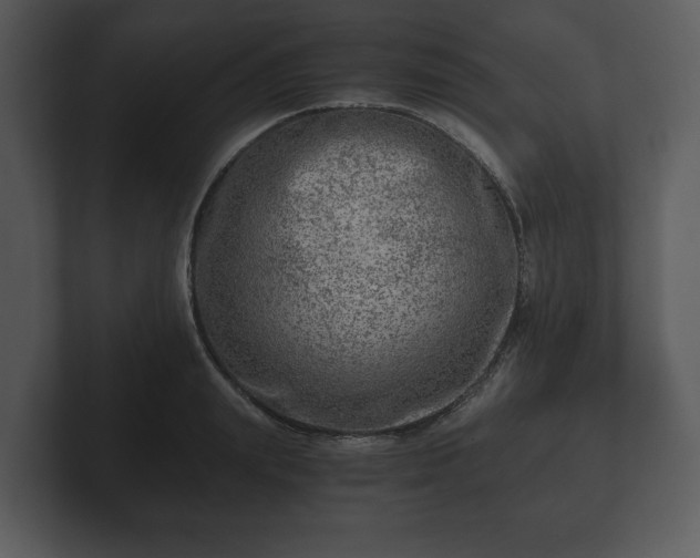 X0000103160847200808291449