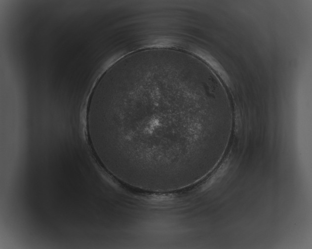 X0000103160850200808291449