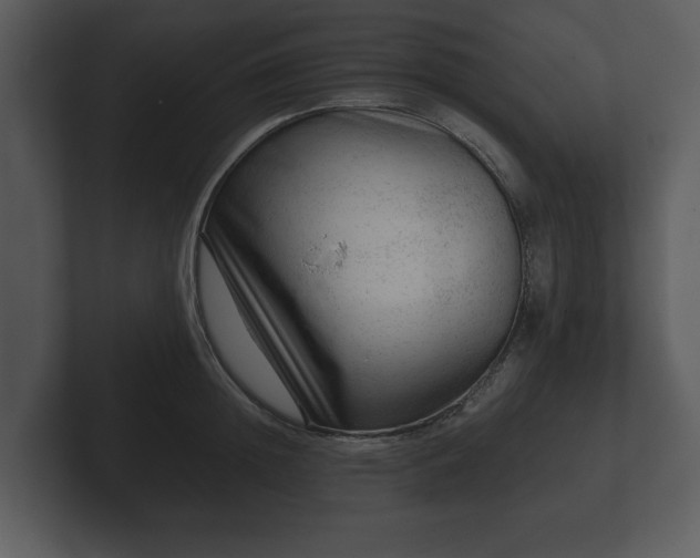 X0000103160852200808291449