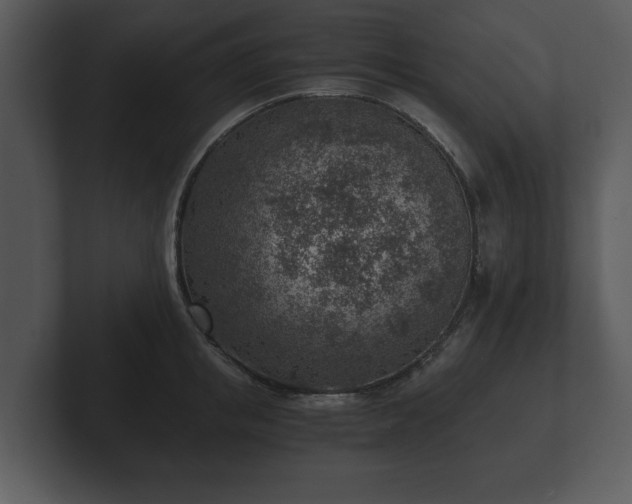 X0000103160853200808291449